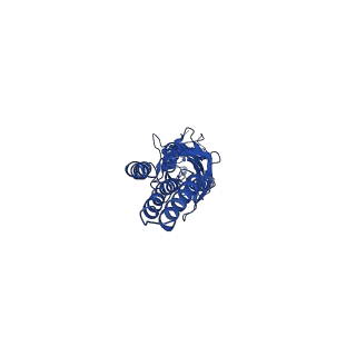 20381_6plz_A_v1-1
CryoEM structure of zebra fish alpha-1 glycine receptor bound with GABA in SMA, closed state