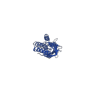 20381_6plz_E_v1-1
CryoEM structure of zebra fish alpha-1 glycine receptor bound with GABA in SMA, closed state