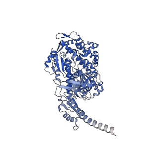 13509_7pm1_A_v1-0
Cryo-EM structure of the actomyosin-V complex in the rigor state (central 1er, young JASP-stabilized F-actin, class 2)
