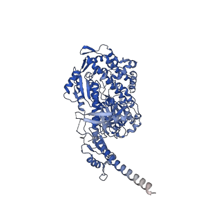 13510_7pm2_A_v1-0
Cryo-EM structure of the actomyosin-V complex in the rigor state (central 1er, young JASP-stabilized F-actin, class 4)
