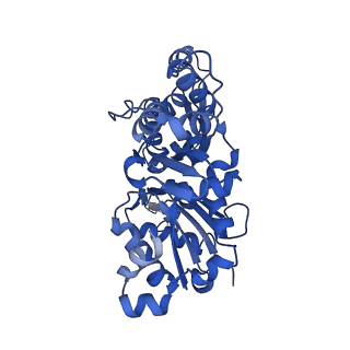 13510_7pm2_C_v1-0
Cryo-EM structure of the actomyosin-V complex in the rigor state (central 1er, young JASP-stabilized F-actin, class 4)