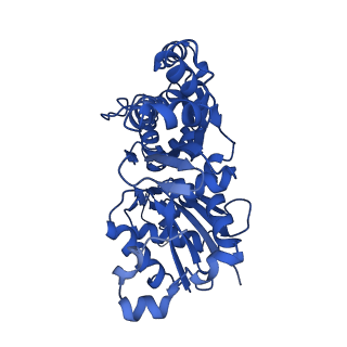 13511_7pm3_B_v1-0
Cryo-EM structure of young JASP-stabilized F-actin (central 3er)