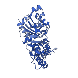 13511_7pm3_C_v1-0
Cryo-EM structure of young JASP-stabilized F-actin (central 3er)