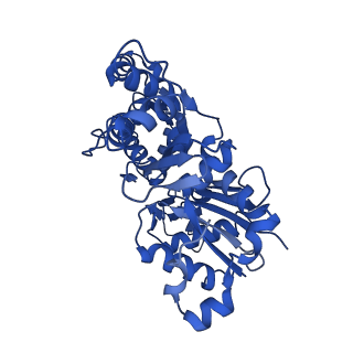 13511_7pm3_D_v1-0
Cryo-EM structure of young JASP-stabilized F-actin (central 3er)