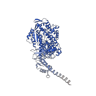 13521_7pm5_A_v1-0
Cryo-EM structure of the actomyosin-V complex in the strong-ADP state (central 1er)