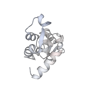 13521_7pm5_B_v1-0
Cryo-EM structure of the actomyosin-V complex in the strong-ADP state (central 1er)