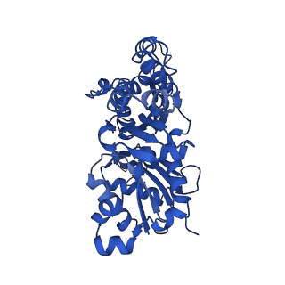 13521_7pm5_C_v1-0
Cryo-EM structure of the actomyosin-V complex in the strong-ADP state (central 1er)