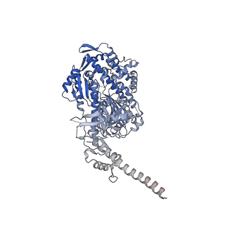 13522_7pm6_A_v1-0
Cryo-EM structure of the actomyosin-V complex in the strong-ADP state (central 3er/2er)