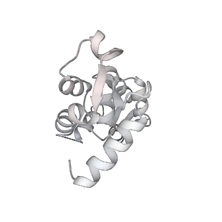 13522_7pm6_B_v1-0
Cryo-EM structure of the actomyosin-V complex in the strong-ADP state (central 3er/2er)