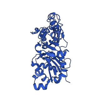 13522_7pm6_C_v1-0
Cryo-EM structure of the actomyosin-V complex in the strong-ADP state (central 3er/2er)