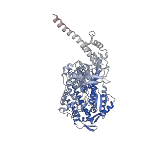 13522_7pm6_D_v1-0
Cryo-EM structure of the actomyosin-V complex in the strong-ADP state (central 3er/2er)