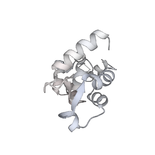 13522_7pm6_E_v1-0
Cryo-EM structure of the actomyosin-V complex in the strong-ADP state (central 3er/2er)