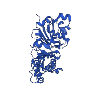 13522_7pm6_F_v1-0
Cryo-EM structure of the actomyosin-V complex in the strong-ADP state (central 3er/2er)