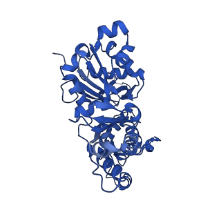 13522_7pm6_G_v1-0
Cryo-EM structure of the actomyosin-V complex in the strong-ADP state (central 3er/2er)