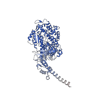 13523_7pm7_A_v1-0
Cryo-EM structure of the actomyosin-V complex in the strong-ADP state (central 1er, class 2)