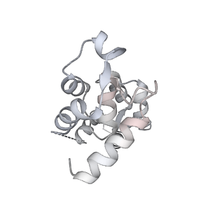 13523_7pm7_B_v1-0
Cryo-EM structure of the actomyosin-V complex in the strong-ADP state (central 1er, class 2)