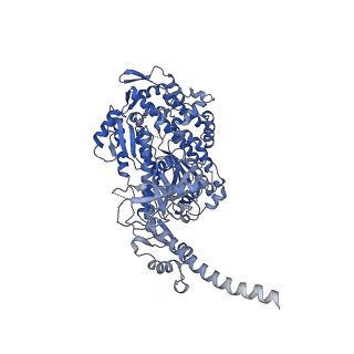 13524_7pm8_A_v1-0
Cryo-EM structure of the actomyosin-V complex in the strong-ADP state (central 1er, class 3)