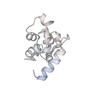 13524_7pm8_B_v1-0
Cryo-EM structure of the actomyosin-V complex in the strong-ADP state (central 1er, class 3)