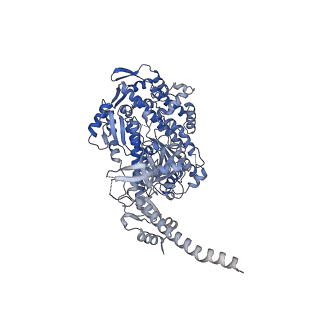 13525_7pm9_A_v1-0
Cryo-EM structure of the actomyosin-V complex in the strong-ADP state (central 1er, class 4)