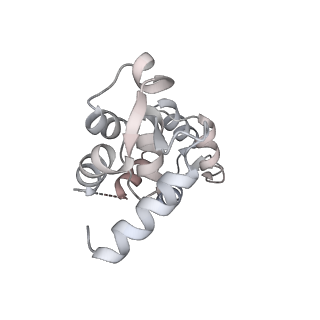 13525_7pm9_B_v1-0
Cryo-EM structure of the actomyosin-V complex in the strong-ADP state (central 1er, class 4)