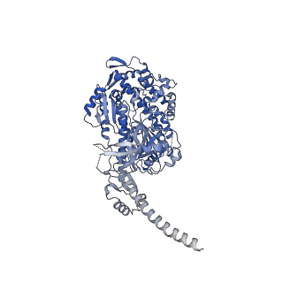 13526_7pma_A_v1-0
Cryo-EM structure of the actomyosin-V complex in the strong-ADP state (central 1er, class 5)