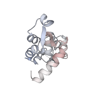 13526_7pma_B_v1-0
Cryo-EM structure of the actomyosin-V complex in the strong-ADP state (central 1er, class 5)