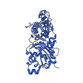13526_7pma_C_v1-0
Cryo-EM structure of the actomyosin-V complex in the strong-ADP state (central 1er, class 5)