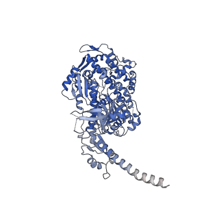 13527_7pmb_A_v1-0
Cryo-EM structure of the actomyosin-V complex in the strong-ADP state (central 1er, class 6)