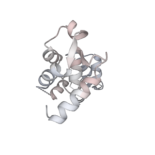 13527_7pmb_B_v1-0
Cryo-EM structure of the actomyosin-V complex in the strong-ADP state (central 1er, class 6)