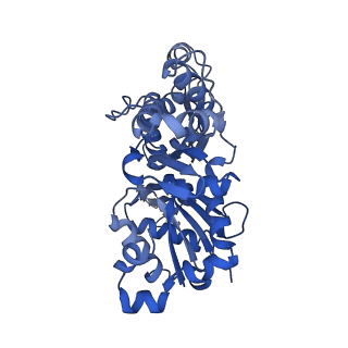 13527_7pmb_C_v1-0
Cryo-EM structure of the actomyosin-V complex in the strong-ADP state (central 1er, class 6)