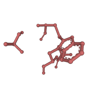 13527_7pmb_H_v1-0
Cryo-EM structure of the actomyosin-V complex in the strong-ADP state (central 1er, class 6)