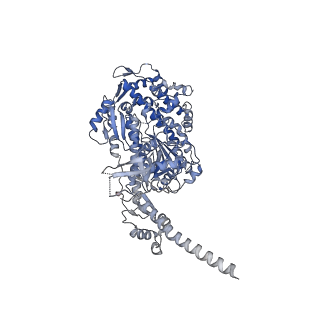 13528_7pmc_A_v1-0
Cryo-EM structure of the actomyosin-V complex in the strong-ADP state (central 1er, class 7)