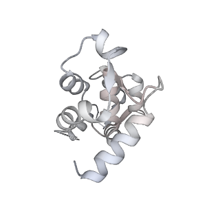 13528_7pmc_B_v1-0
Cryo-EM structure of the actomyosin-V complex in the strong-ADP state (central 1er, class 7)