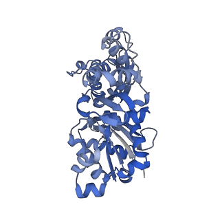13528_7pmc_C_v1-0
Cryo-EM structure of the actomyosin-V complex in the strong-ADP state (central 1er, class 7)