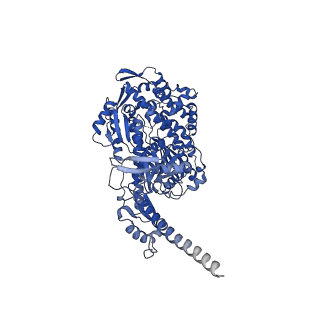 13529_7pmd_A_v1-0
Cryo-EM structure of the actomyosin-V complex in the post-rigor transition state (AppNHp, central 1er)
