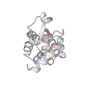 13529_7pmd_B_v1-0
Cryo-EM structure of the actomyosin-V complex in the post-rigor transition state (AppNHp, central 1er)