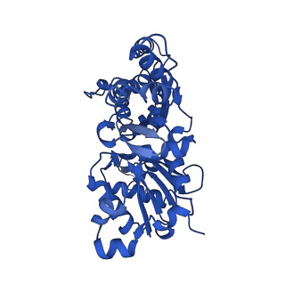 13529_7pmd_C_v1-0
Cryo-EM structure of the actomyosin-V complex in the post-rigor transition state (AppNHp, central 1er)