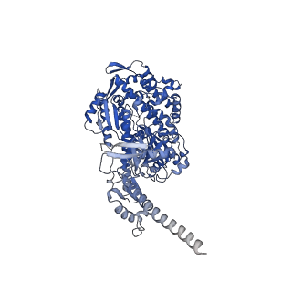 13530_7pme_A_v1-0
Cryo-EM structure of the actomyosin-V complex in the post-rigor transition state (AppNHp, central 3er/2er)