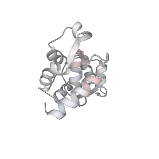13530_7pme_B_v1-0
Cryo-EM structure of the actomyosin-V complex in the post-rigor transition state (AppNHp, central 3er/2er)