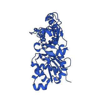 13530_7pme_C_v1-0
Cryo-EM structure of the actomyosin-V complex in the post-rigor transition state (AppNHp, central 3er/2er)
