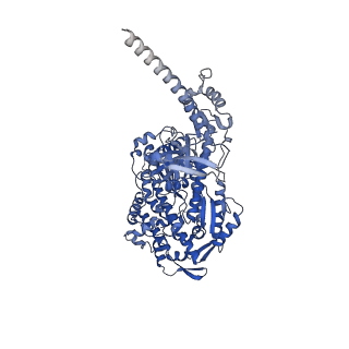 13530_7pme_D_v1-0
Cryo-EM structure of the actomyosin-V complex in the post-rigor transition state (AppNHp, central 3er/2er)