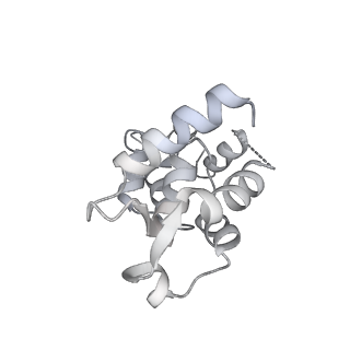 13530_7pme_E_v1-0
Cryo-EM structure of the actomyosin-V complex in the post-rigor transition state (AppNHp, central 3er/2er)