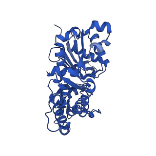 13530_7pme_F_v1-0
Cryo-EM structure of the actomyosin-V complex in the post-rigor transition state (AppNHp, central 3er/2er)