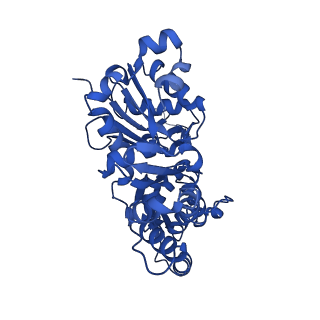 13530_7pme_G_v1-0
Cryo-EM structure of the actomyosin-V complex in the post-rigor transition state (AppNHp, central 3er/2er)