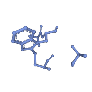 13530_7pme_I_v1-0
Cryo-EM structure of the actomyosin-V complex in the post-rigor transition state (AppNHp, central 3er/2er)