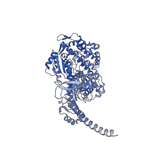 13531_7pmf_A_v1-0
Cryo-EM structure of the actomyosin-V complex in the post-rigor transition state (AppNHp, central 1er, class 1)