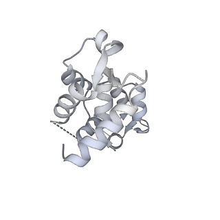 13531_7pmf_B_v1-0
Cryo-EM structure of the actomyosin-V complex in the post-rigor transition state (AppNHp, central 1er, class 1)