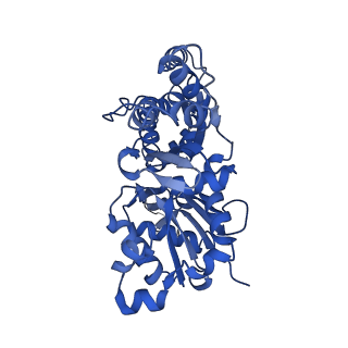 13531_7pmf_C_v1-0
Cryo-EM structure of the actomyosin-V complex in the post-rigor transition state (AppNHp, central 1er, class 1)