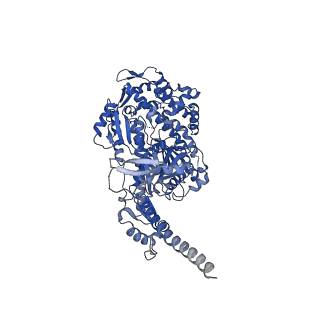 13532_7pmg_A_v1-0
Cryo-EM structure of the actomyosin-V complex in the post-rigor transition state (AppNHp, central 1er, class 3)