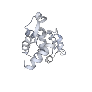 13532_7pmg_B_v1-0
Cryo-EM structure of the actomyosin-V complex in the post-rigor transition state (AppNHp, central 1er, class 3)